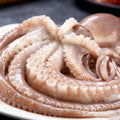 Frozen Whole Octopus