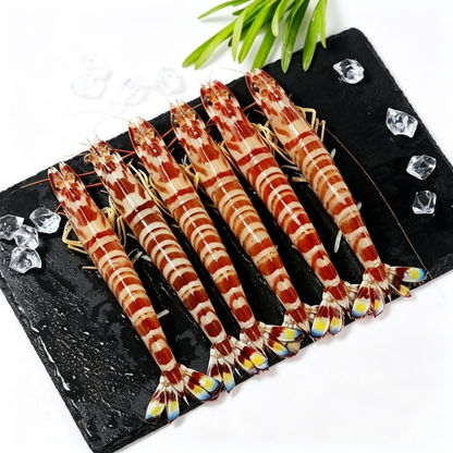 Frozen Raw Patterned Prawns